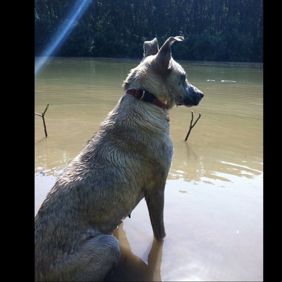 Meet your Posher, Helen - Picture 4 of 4